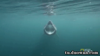 多sku商品，价格不一致